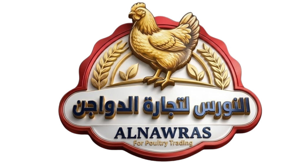 النورس لتجارة الدواجن
