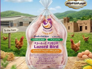كرتون دجاج فريش وزن 1000 جرام